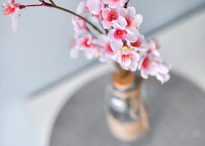 Deluxe Franic